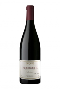 Bourgueil - La Coudraye