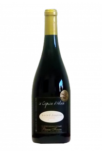 Vin Bourgogne Saint Joseph - le caprice d'Héloise