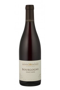 Bourgogne AOP Bourgogne Pinot Noir Rouge