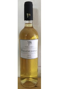 Campania IGT Falanghina Blanc