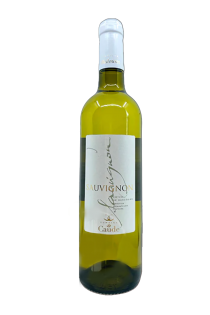 Côtes de Gascogne Sauvignon Domaine de Caude Blanc